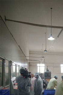 匠心質造，榮譽加冕——宜昌華爾食品公司獲評市食品藥品監督管理局“食品示范企業”